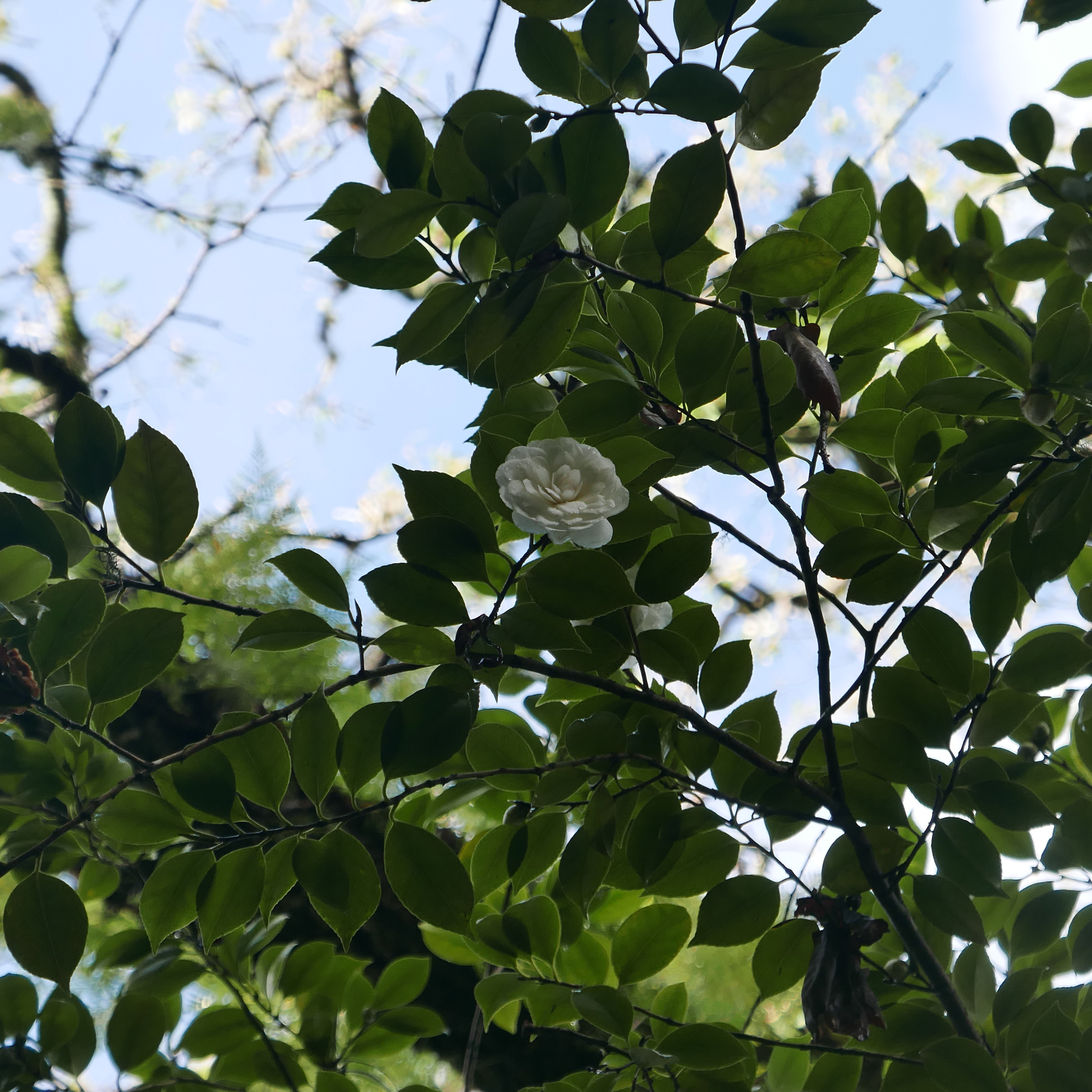 A POEM FOR INSPIRATION