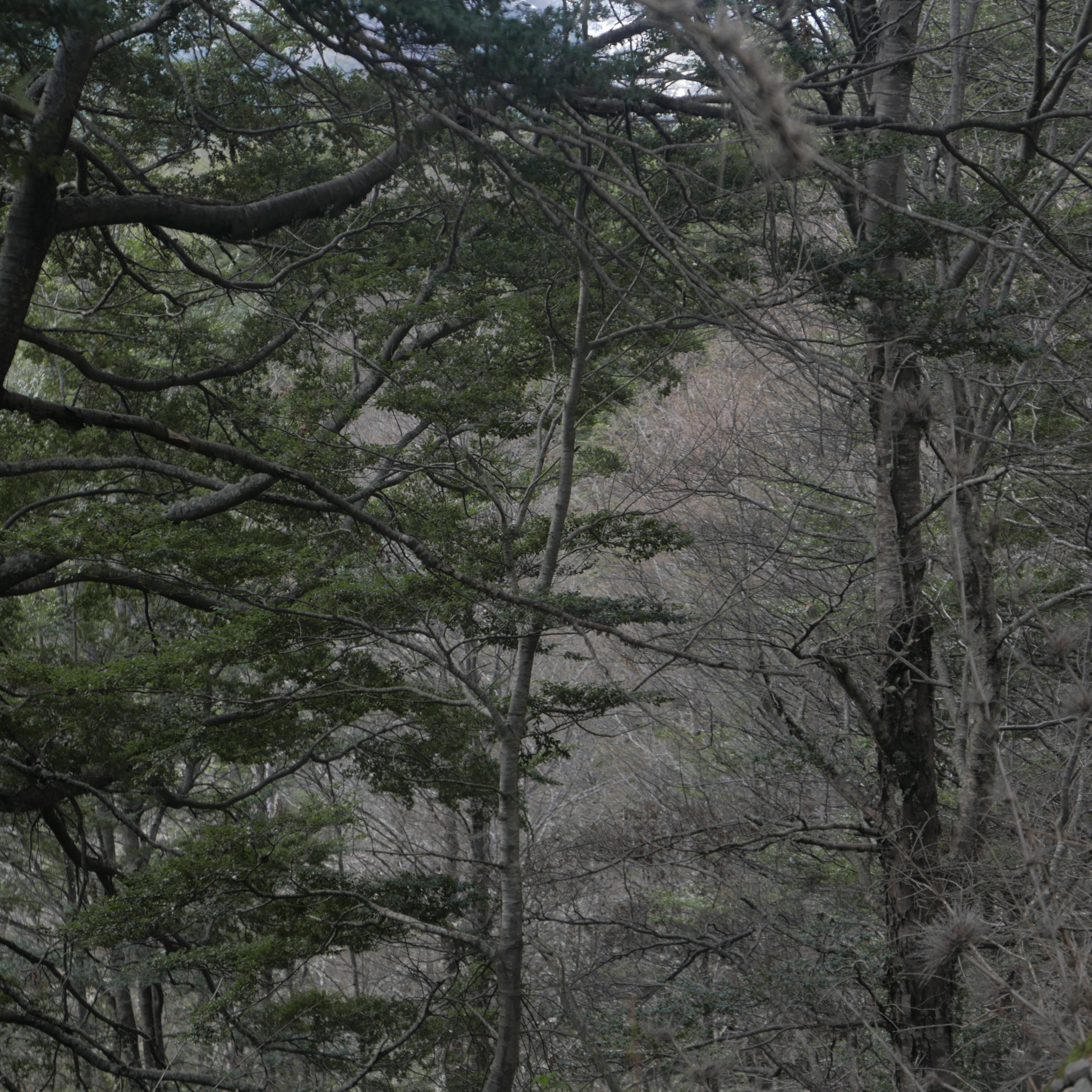 WHAT KIND OF PEOPLE BUY ART?